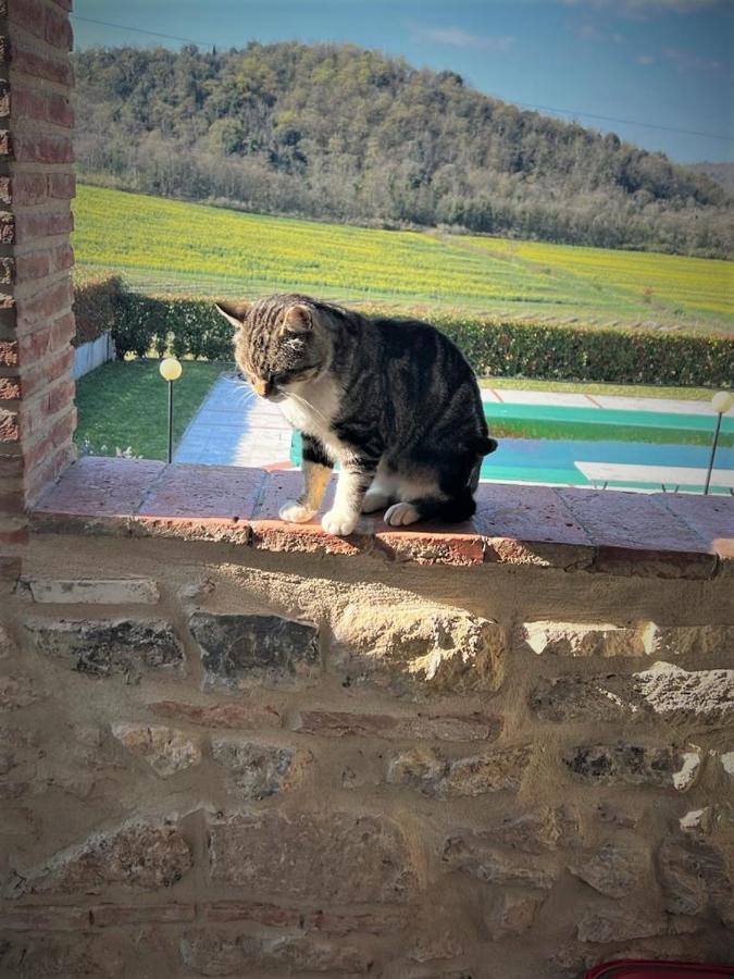 Podere La Selva Rapolano Terme Kültér fotó