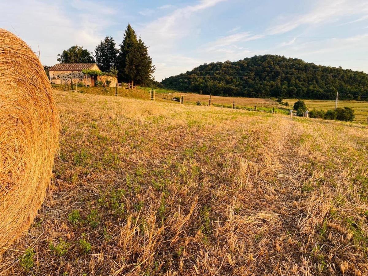 Podere La Selva Rapolano Terme Kültér fotó