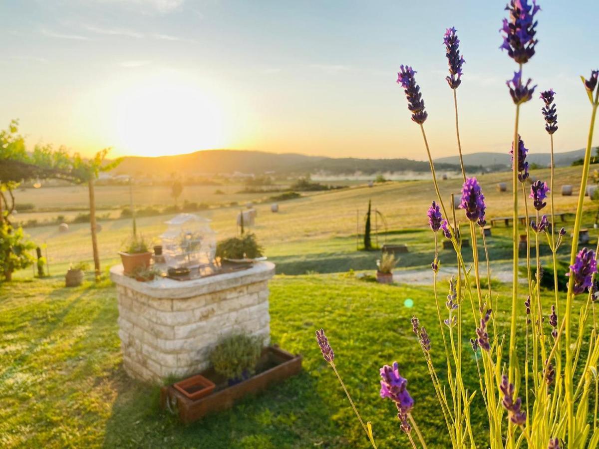 Podere La Selva Rapolano Terme Kültér fotó