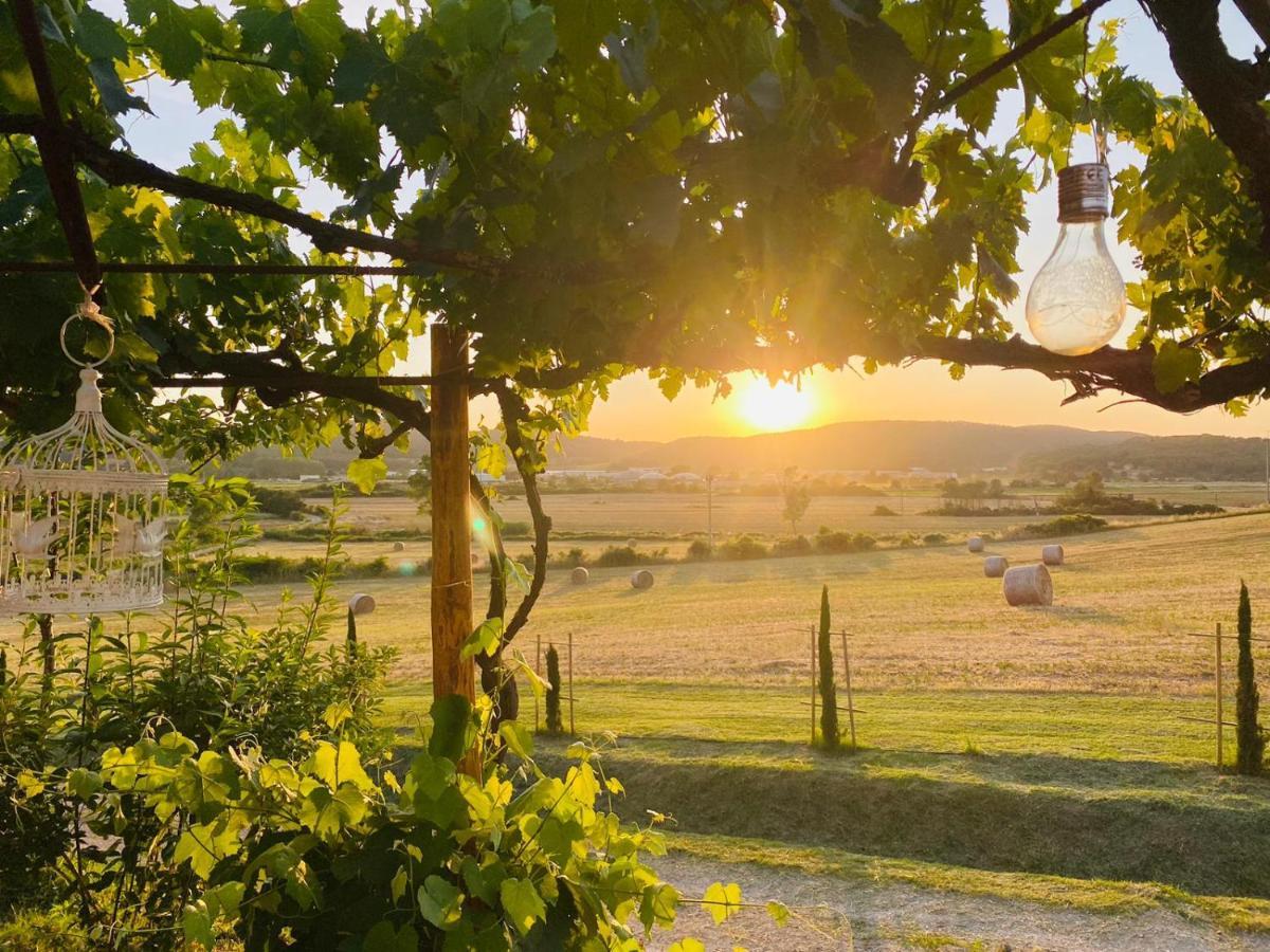 Podere La Selva Rapolano Terme Kültér fotó