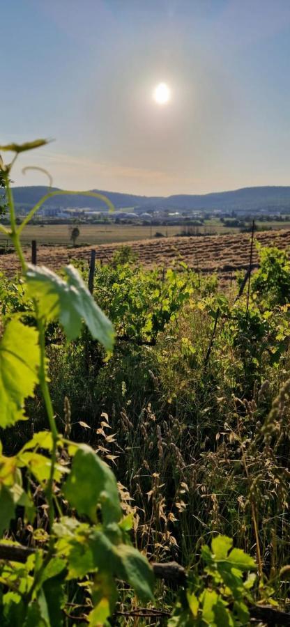 Podere La Selva Rapolano Terme Kültér fotó