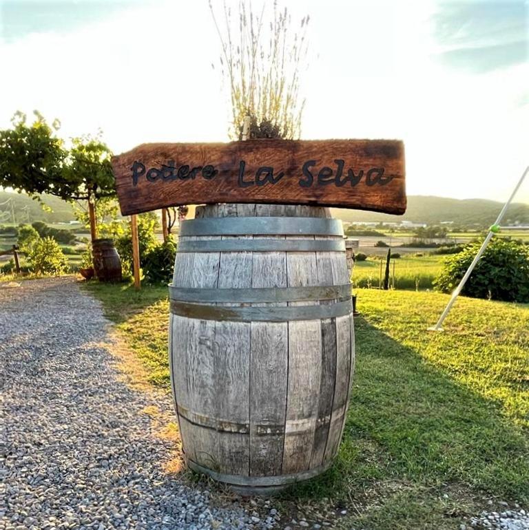Podere La Selva Rapolano Terme Kültér fotó