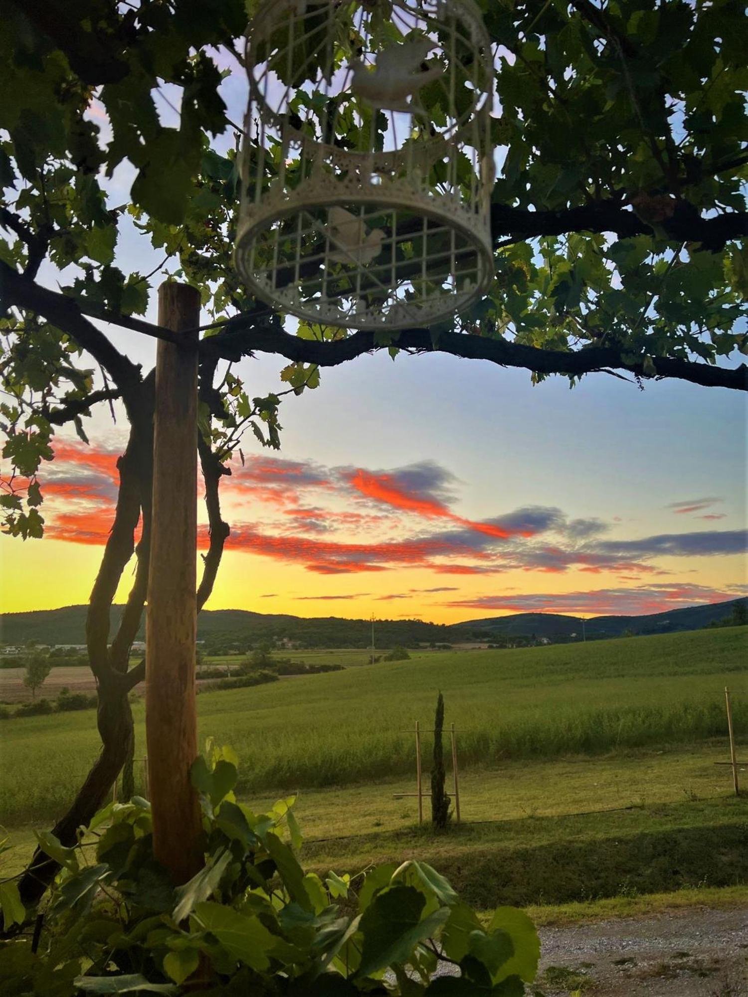 Podere La Selva Rapolano Terme Kültér fotó